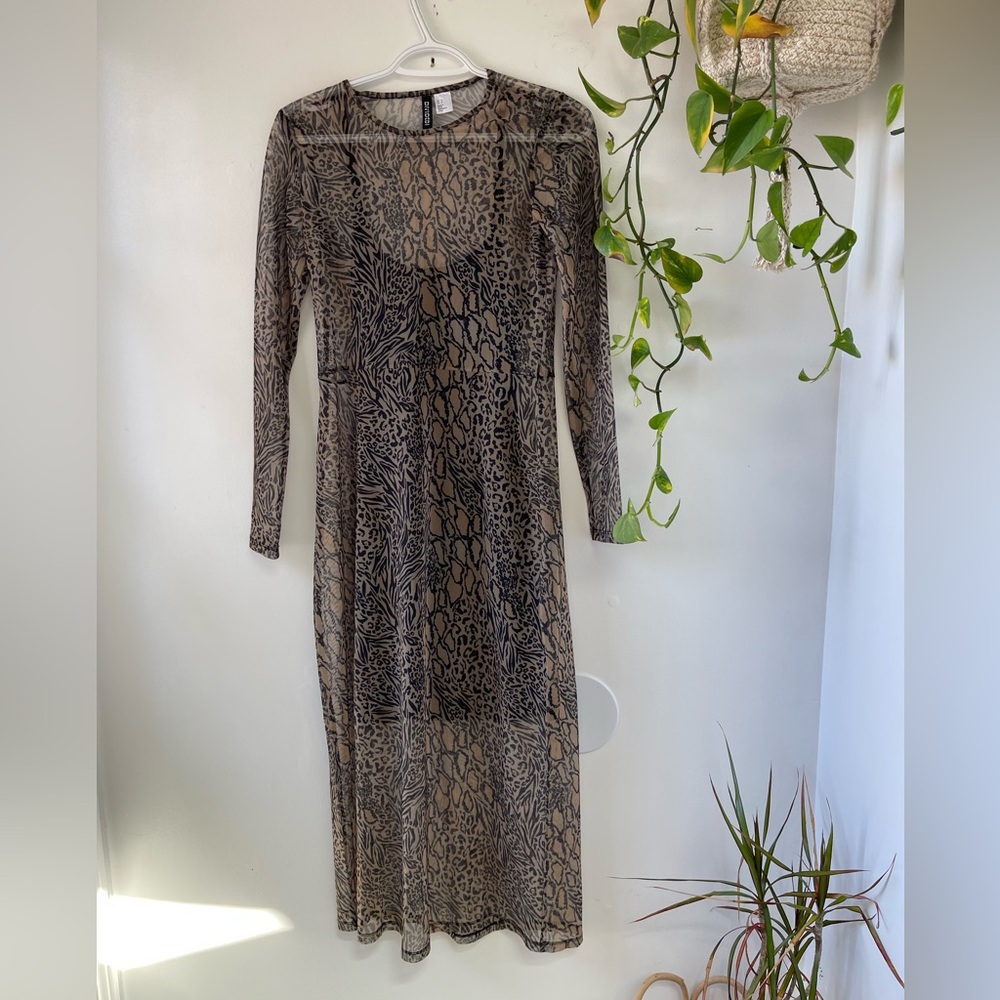Sheer dress